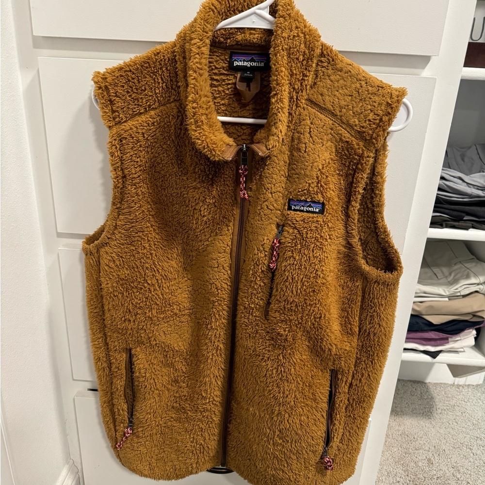 Patagonia Men’s Brown Fleece Vest